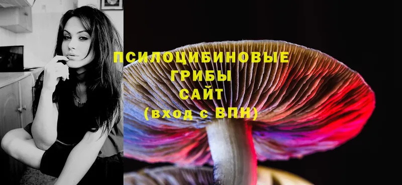 Галлюциногенные грибы Magic Shrooms  цена   Мурино 